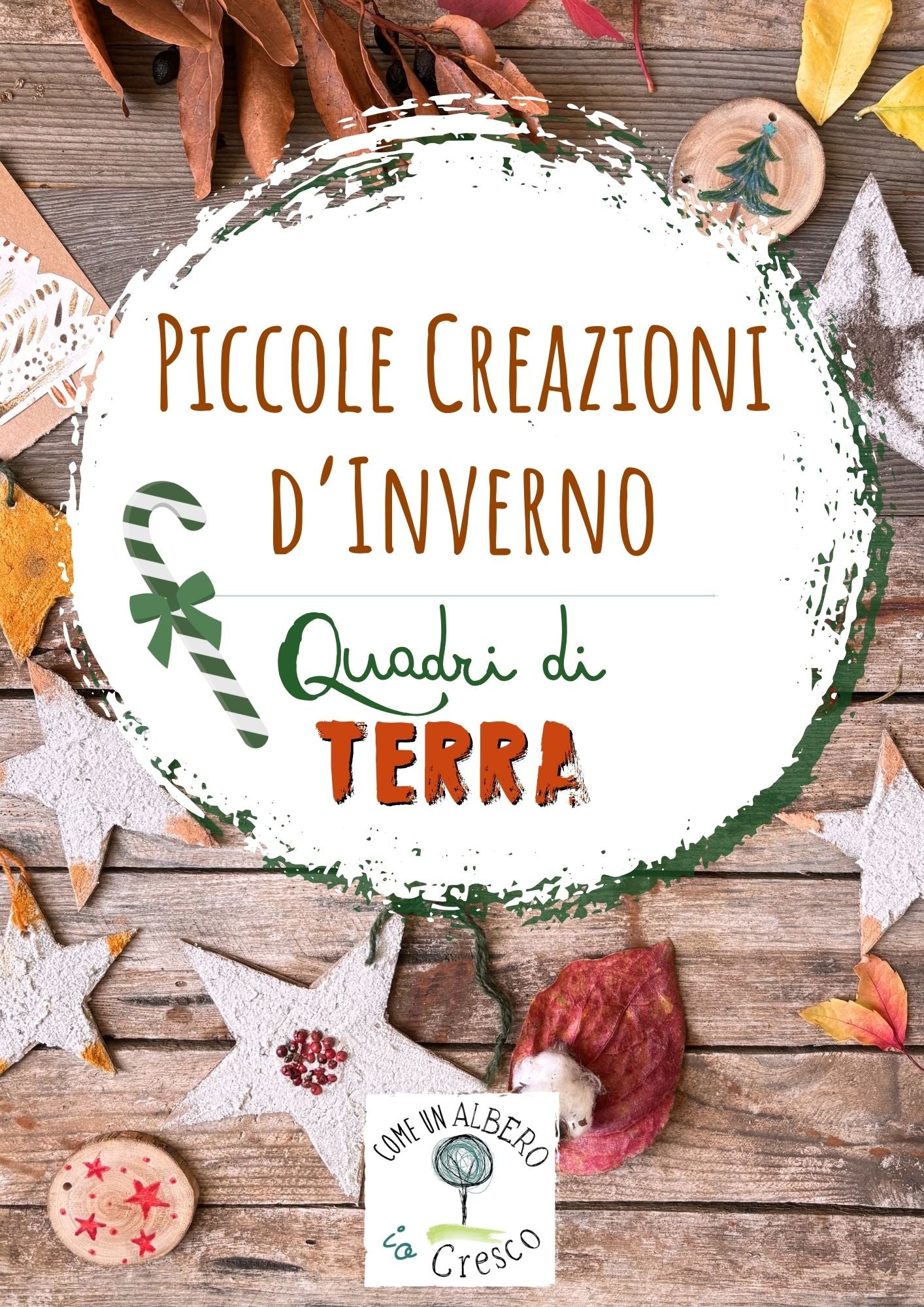 Pacchetto di Natale