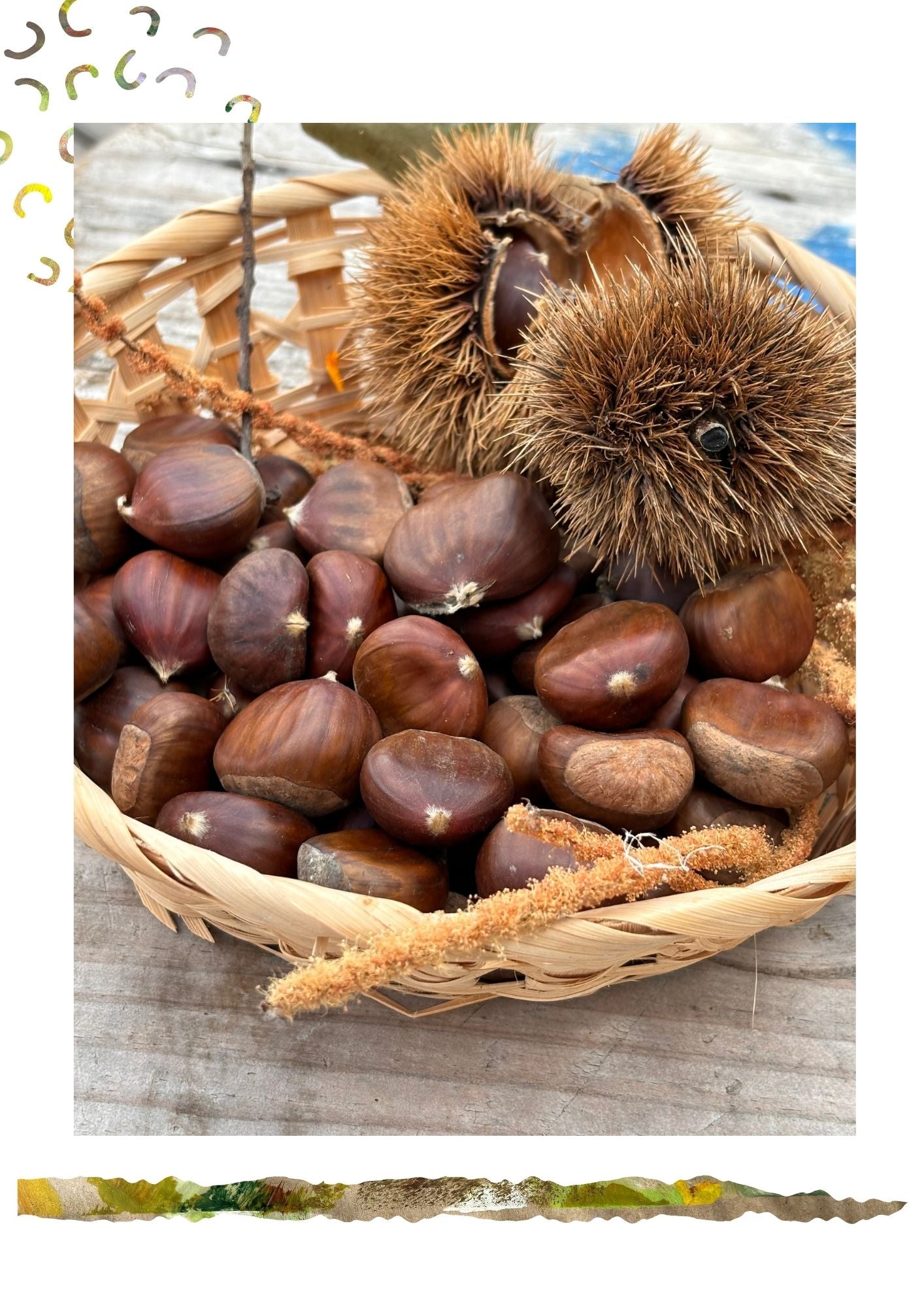 Il_regno_delle_Castagne_2.jpg