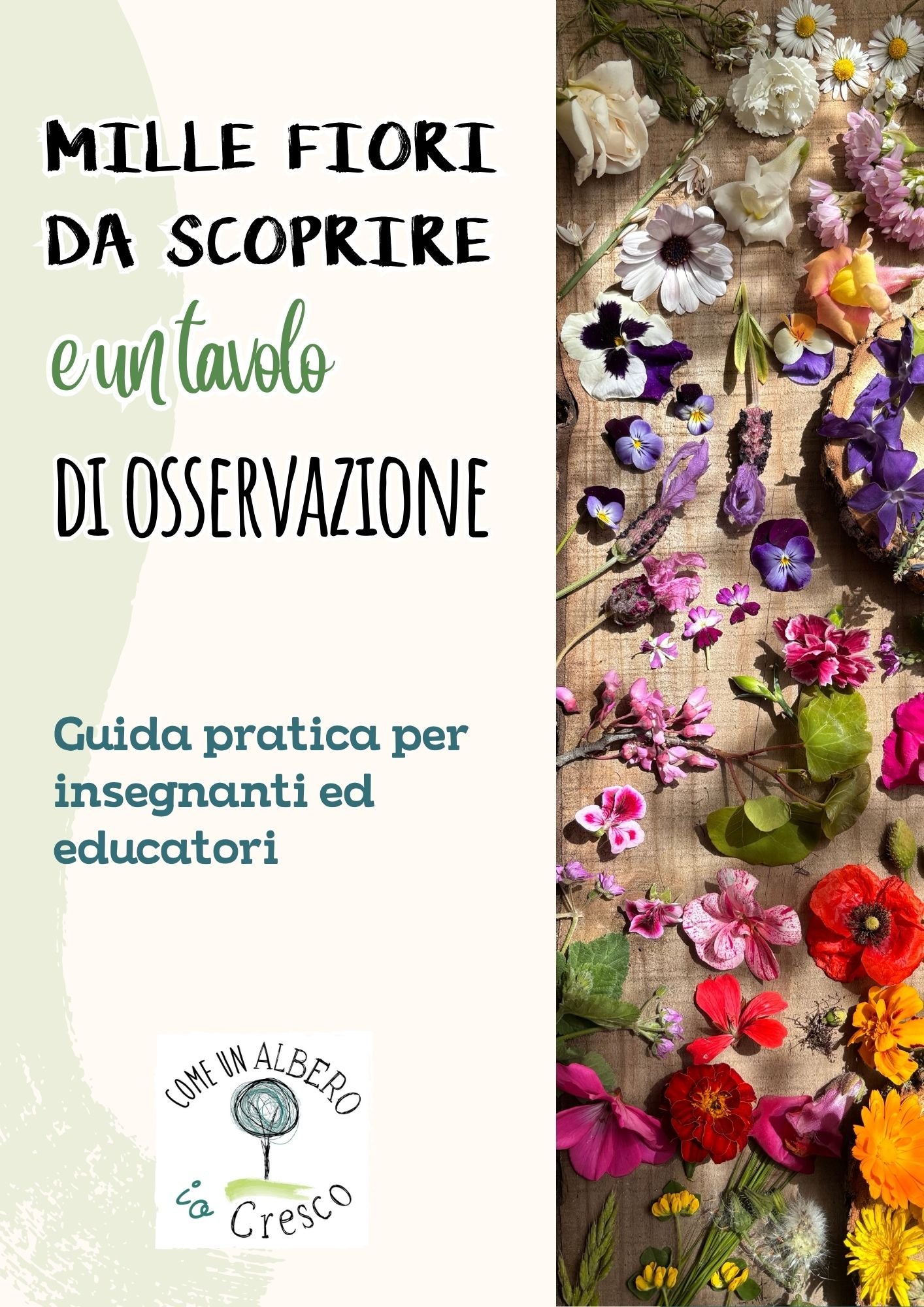MILLEFIORIDASCOPRIREEUNTAVOLODIOSSERVAZIONE.jpg